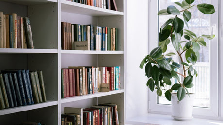 Tendencias en Decoración con Estanterías Minimalistas